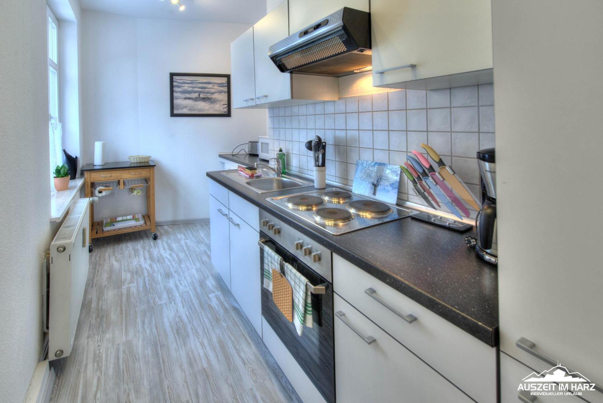 Auszeit Im Harz Haus 1 Wohnung Feuerstein Ширке Экстерьер фото